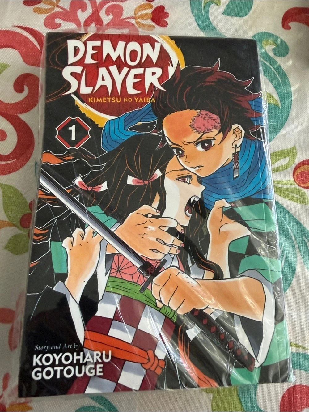 VIZ Media Demon Slayer: Kimetsu no Yaiba, Vol. 1 Manga Volume 1 Black & Red